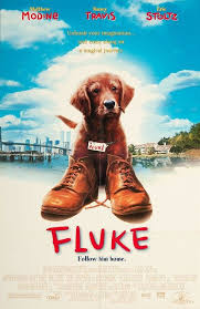 Fluke 1995 2020