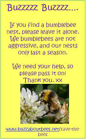 Over time, breeders have grafted bees for their various traits including honey. Will Bumblebees Cause Damage In My Roof