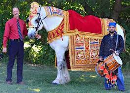 East Indian Wedding Baraat Vidai Buffalo Ny Erie County Wny East Indian Wedding Horse Costumes Indian Wedding