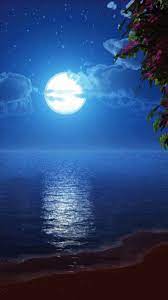Full Moon At The Beach Wallpaper Live Full Moon Wallpaper Live Paisajes De Noche Luna Hermosa Paisajes