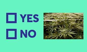 Our results better approximated the official referendum outcome than poll agencies, the latter suggesting that the yes and no difference was very small, or that yes was to win the race 14. When Will We Know The Cannabis And Assisted Dying Referendum Results The Spinoff