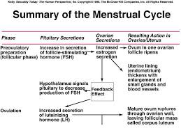 Womens Monthly Hormonal Cycle Chart Menstrual Cycle