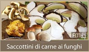 Il cuore di scamone in crosta con lardo e porcini è un secondo piatto di carne gustoso a base di una pasta brisè, arricchito dal lardo e dai porcini. Saccottini Di Carne Con Funghi Porcini Funghimagazine It