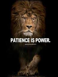 Patience Is Power Inspirational Quotes Motivation Inspirational Quotes About Success Lion Quotes