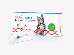 The best dna kit all depends on how you cats have long been left out of pet dna tests, but this lone kit is decently exhaustive and beloved on. Basepaws 99 Cat Dna Test Tells You What S Truly Wrong With Your Cat Wired