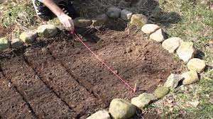 Eggplant head lettuce cole crops: Planting Vegetables How To Plant A Small Vegetable Garden Youtube