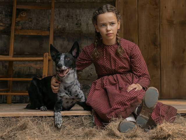 Little House on Prairie' dog Jack's many happy lives, tearful deaths