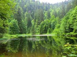 Un Petit Detour Dans Les Vosges Avec Les Bonnes Adresses De Nos Membres Diamants Vosges Randonnee Vosges La Bresse