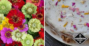 I teamed up with grow wild, the uk's biggest ever wild flower campaign, to encourage you guys to get out there and sow some wild flowers. Growing Edible And Cut Flowers In The Home Garden Gardening Channel