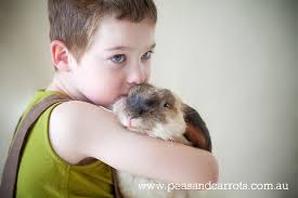 Brisbane Baby, Children and Family Portrait Photography. Children's  Photography Art. Award Winning Photographer Nikki Joyner » Beautiful images  to warm your heart and home.