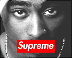 The brand is targeted at the skateboarding and hip hop cultures, and youth culture in general. Supreme Honours 2pac In The Ss20 Collection Grailify