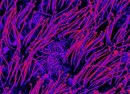 نتیجه جستجوی لغت [transmits] در گوگل