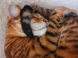 Gryzlia The Uxpressia Cat Aka The Tigress Love Your Pet Day Pets Cats