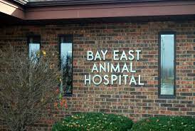 East bay area pet hospital. Veterinarian In Green Bay Wi 54311 Bay East Animal Hospital