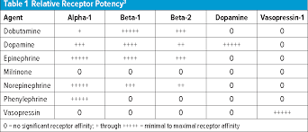 Image result for Vasopressor