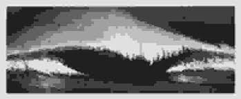 Image result for robert longo waves