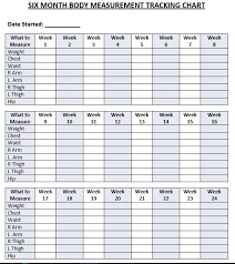 six month body measurement tracking chart body measurement