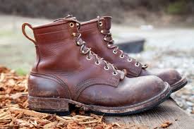 Image result for Brown 1964 Tappan