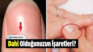 Dunyaya Bir Dahi Olarak Gozlerinizi Acmak Mumkun Cok Yogun Bir Calismayla Ve Emek Harcayarak Da Kendinizi Dahi Statusune Getireb Bilgi Isaretler Ebeveyn Olmak