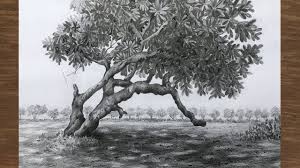 We will show you how to draw the basic outlines and shapes of the trees. Draw And Shade A Tree With Pencil Pencil Sketch Nature Drawing Youtube