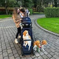 A History of Dogs | Diogo Jota, his wife Rute, their three children and  three dogs.