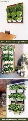 Inspiration Frame Your Vertical Gardens Shade Garden Plants Plant Decor Indoor Hanging Garden