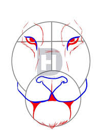 How To Draw A Tiger Face By Darkonator Drawinghub Lion Face Drawing Tiger Drawing Tiger Face Drawing
