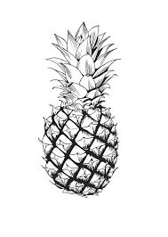 The other end has a flexible brush tip that's. Black And White Hand Drawing Of A Pineapple Botanical Illustration Black And White Pineapple Illustration Pineapple Sketch