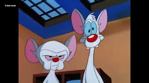 Pin By Valeria Jauregui On Pinky Y Cerebro Animaniacs Cartoon Pinky