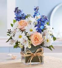 Welcome to the an english garden flowers & gifts blog! Send Flowers In Mokena Mokena Frankfort New Lenox Tinley Park Orland Park Orland Hills Lockport Homer Glen Manhattan Country Club Hills Il