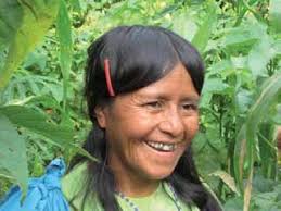 Environmental Sustainable Support to Civil Society in Asia, Africa and  Latin America