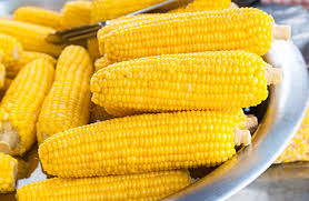 Maybe you would like to learn more about one of these? Corn On The Cob Nutrition Facts Calories In Corn On The Cob