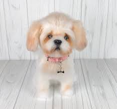 Dog Crochet Pattern Crochet Dog Patterns Crochet Dog Dog Pattern