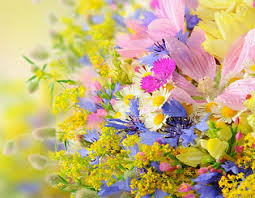 Family owned and operated since 1991. Slades Florist Nottingham Order Online Or 0115 981 3153