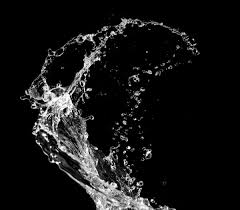 This bird is common in the marsh environment. 141 563 Water Splash Black Stock Photos Free Royalty Free Water Splash Black Images Depositphotos