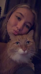 Kitten adoption in Lawrenceburg Tennessee available