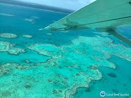 15 jahre erfahrung und telefonisch erreichbar für sie: The Great Barrier Reef Is Now Facing Most Widespread Bleaching Event Yet Smart News Smithsonian Magazine