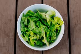Do you feed your dog lettuce? Can Dogs Eat Lettuce Is Lettuce Safe For Dogs
