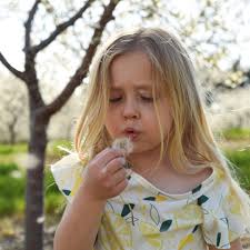 Our Practice — Cherry Bay Dental