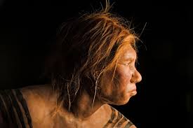 Ancient Girl's Parents Were Two Different Human Species