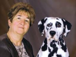 Dalmatian Dog Breed and Characteristics