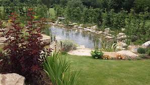 Pond Designs Kadinhayat Org Pond Landscaping Garden Pond Design Pond Design