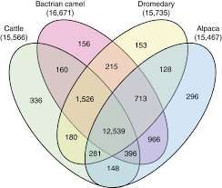They evolved adaptations that suited them for the particular environment this ancestor evolved into many different species depending on food type. Camelid Genomes Reveal Evolution And Adaptation To Desert Environments Nature Communications