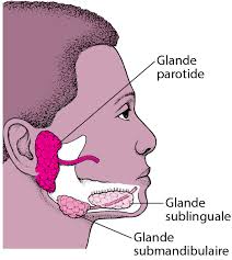 Les coupures sur la langue sont des blessures répandues. Maladies Des Glandes Salivaires Troubles Du Nez De La Gorge Et De L Oreille Manuels Msd Pour Le Grand Public