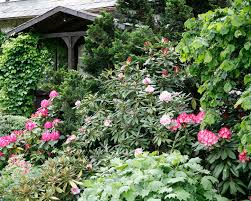 Immergrüne pflanzen gehören in jeden garten. Immergrune Pflanzen Pflanzen Pflege Und Tipps Mein Schoner Garten