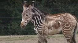 Le magazine de la santé. France 5 En Replay Revoir Toutes Les Emissions De France 5 Replay France 5