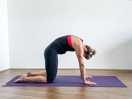 Outstanding Yoga Mats For Sweaty Hands To Transform Your Practice Empower Your Wellness