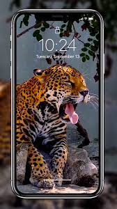 Check spelling or type a new query. Fond D Ecran Anime Iphone 11 Gratuit 31 Fonds D Ecran Iphone Gratuits Telechargement Hd