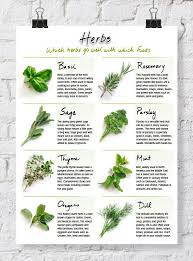Handy Printable Herb Chart Cooking Herbs Cooking Recipes