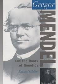 Gregor Mendel: And the Roots of Genetics (Oxford Portraits in Science)